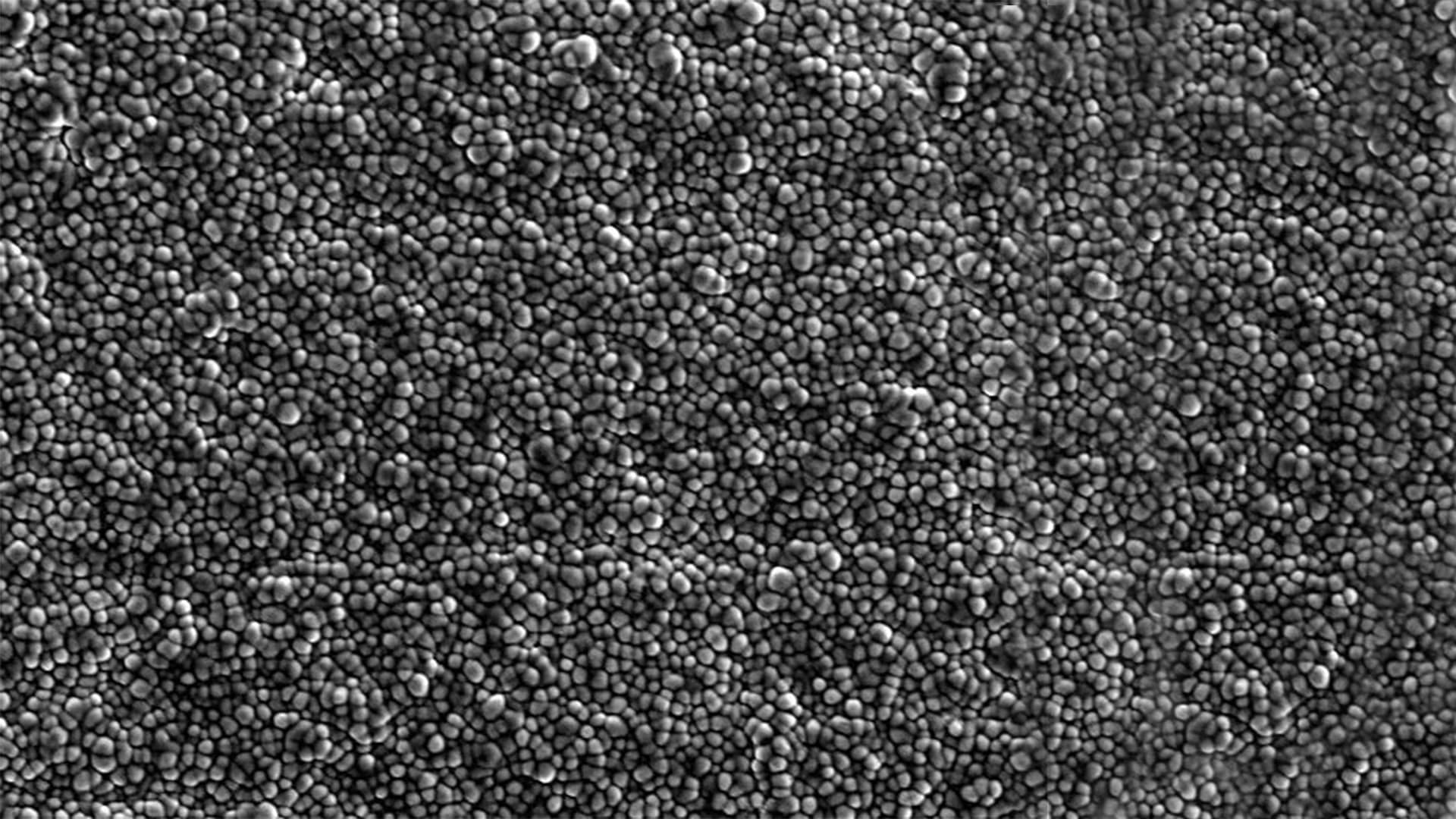 Armoloy nodular thin dense chrome surface sem image at x500