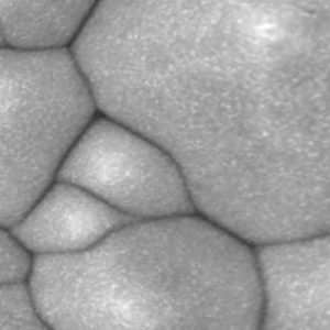 electrolytic nickel plating sem image