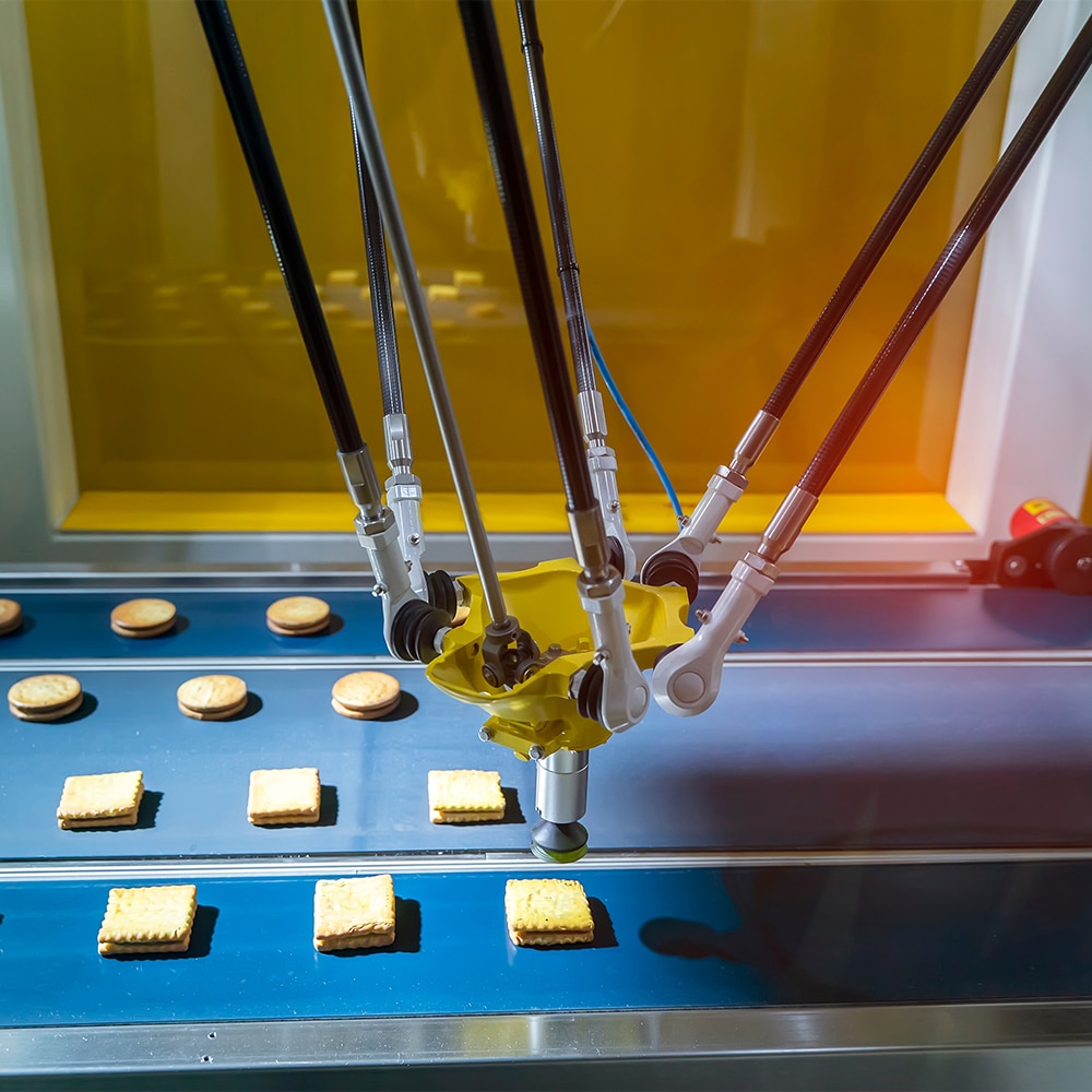 food processing line with automated robot