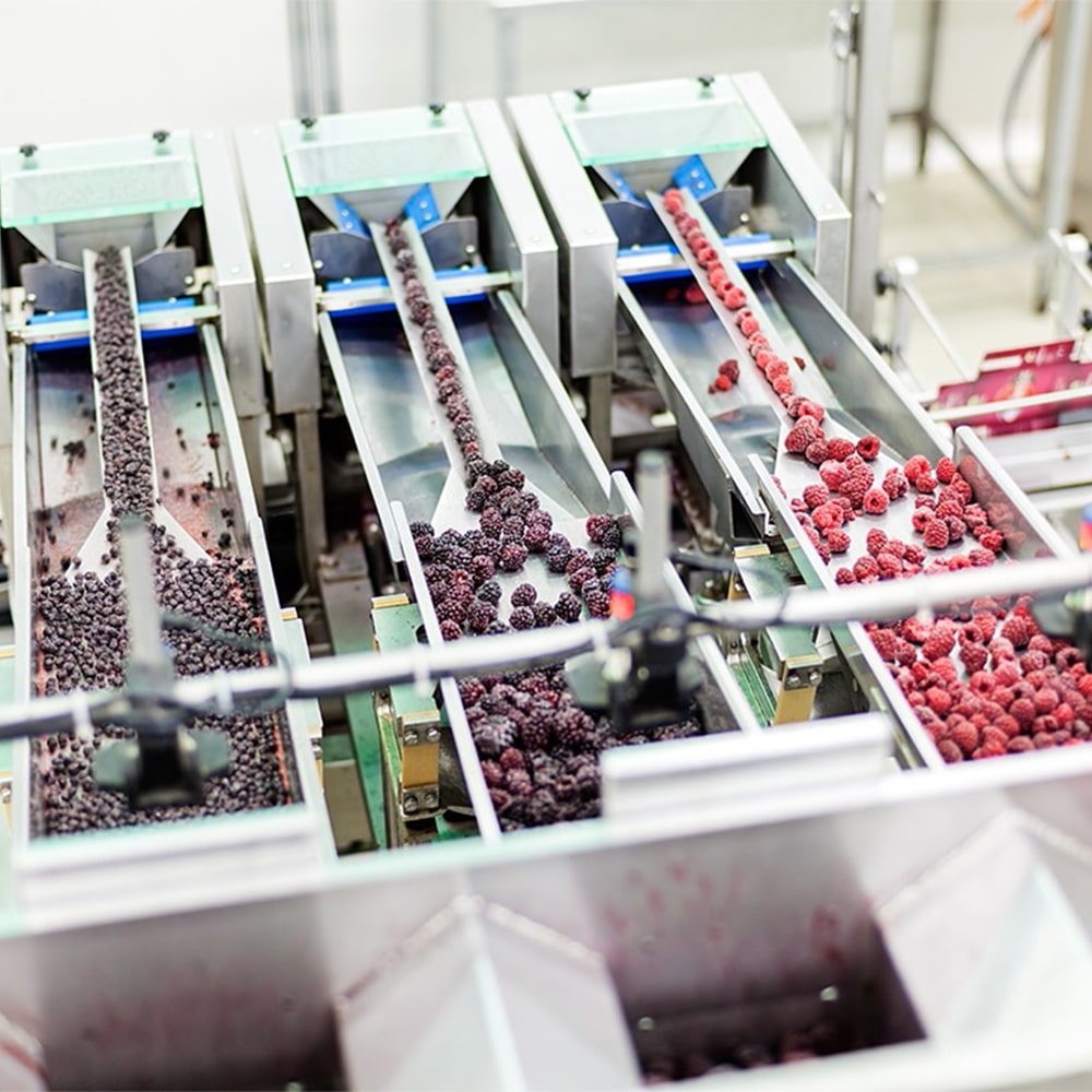 ASTM B578 industries specification food processing of frozen berries with Armoloy plated food processing equipment