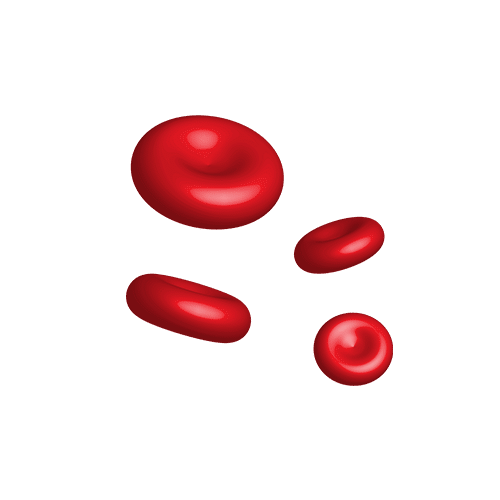 blood cells free of hemolysis