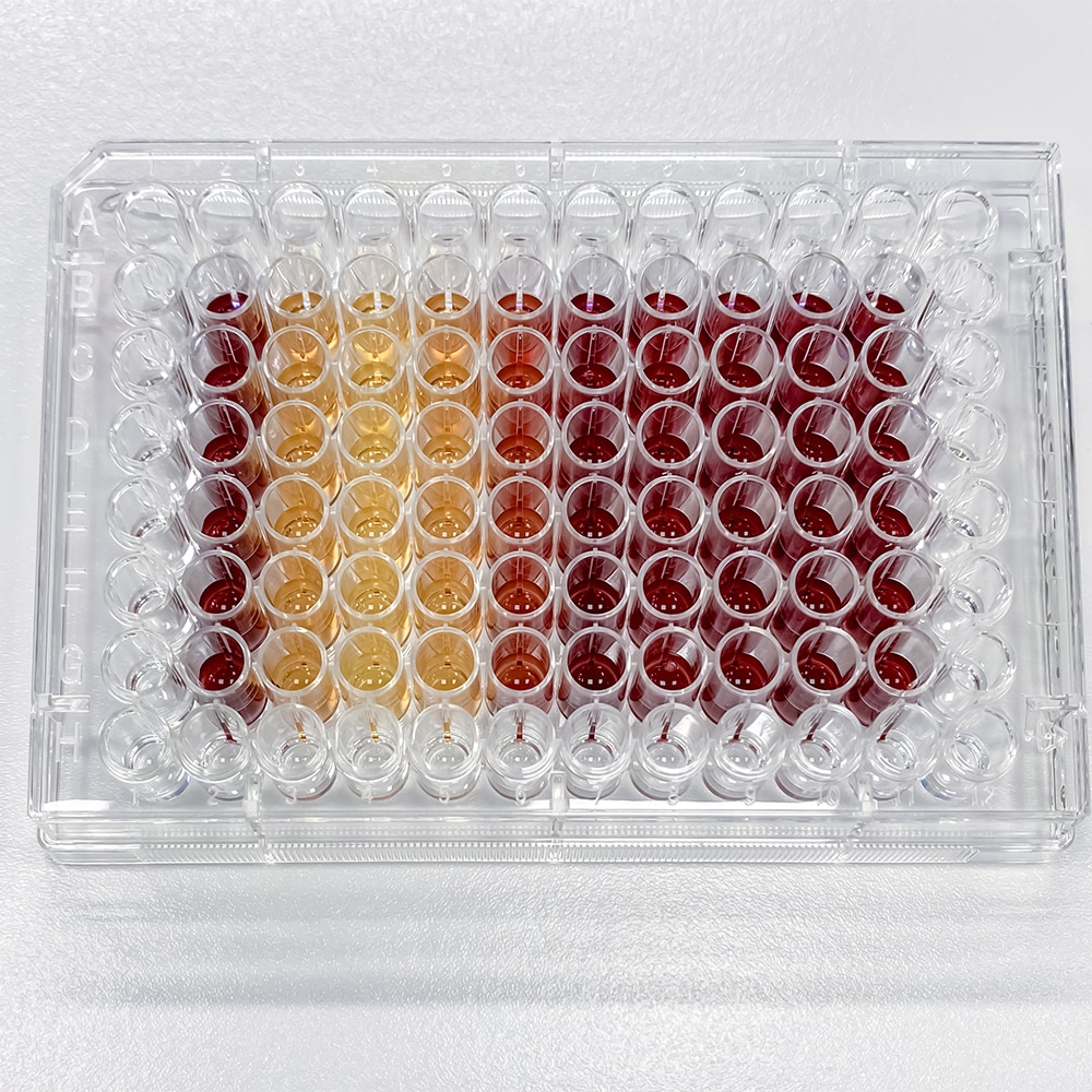 cytotoxicity testing sample tray