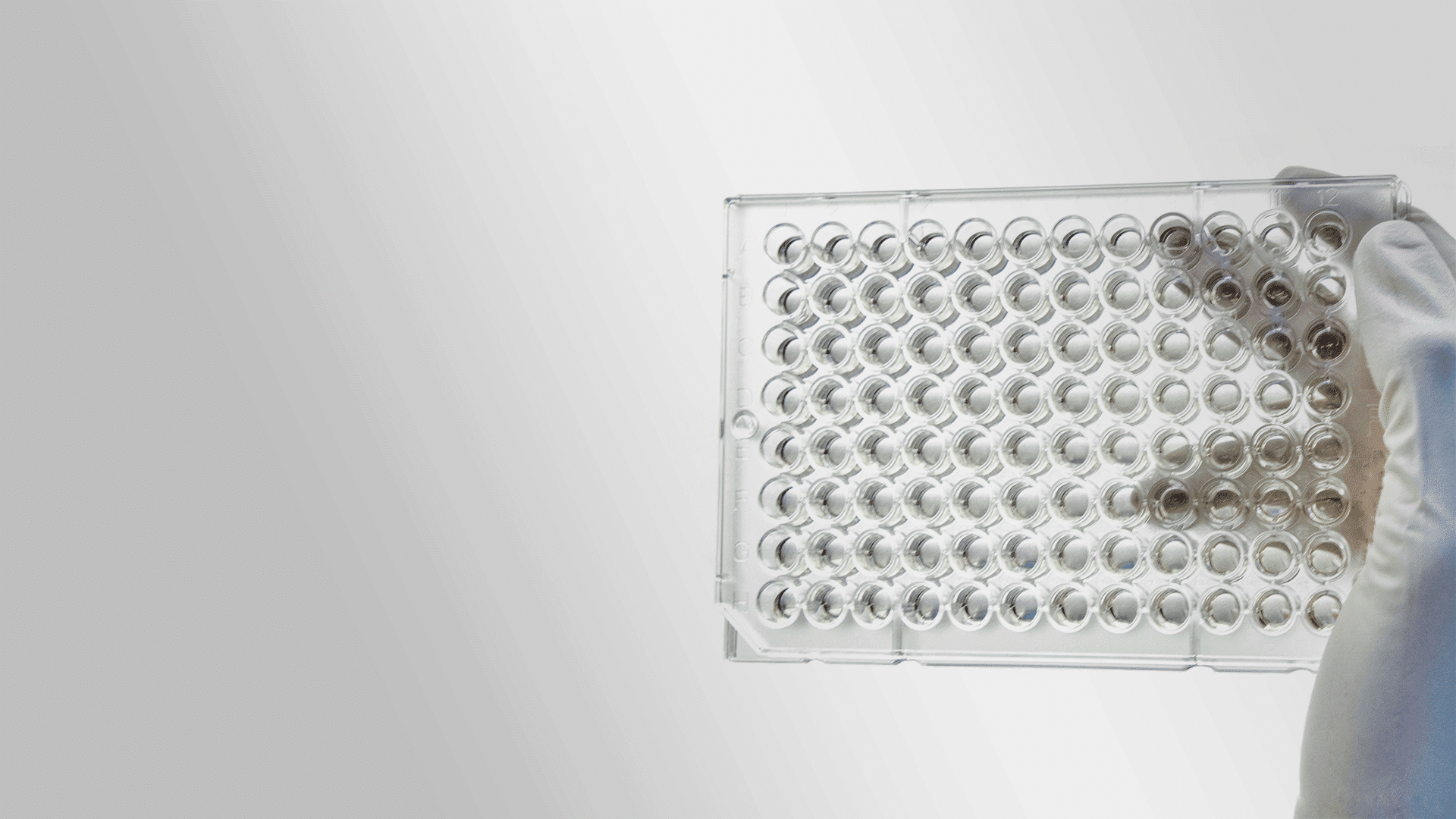 cytotoxicity testing tray