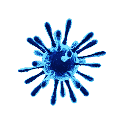 pyrogen at enhanced magnification
