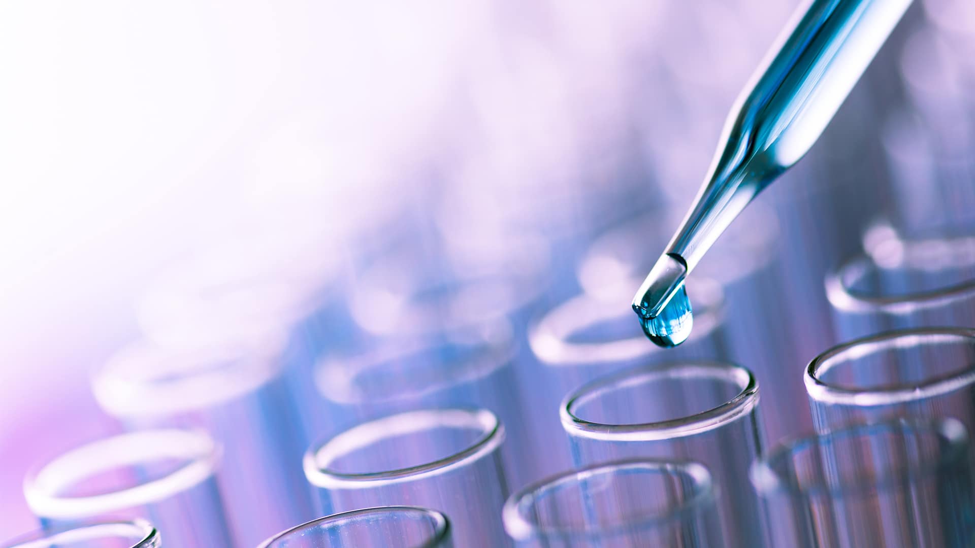 Pyrogen study closeup during pyrogen extraction phase
