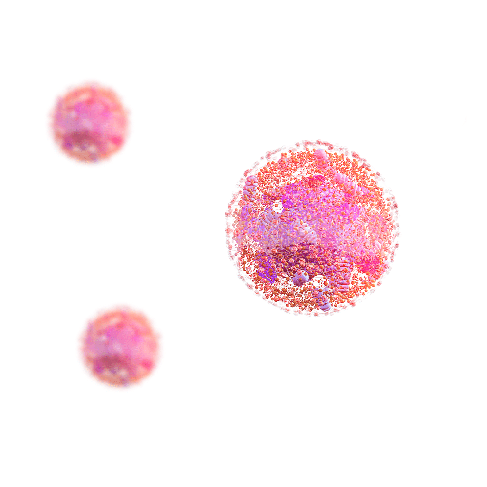 systemic toxicity in cells of a pink color