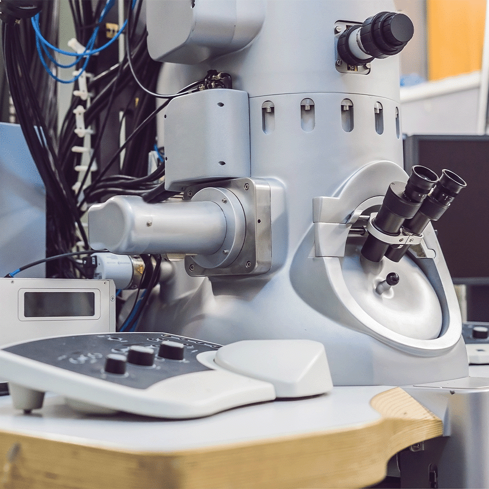 Scanning electron microscope SEM