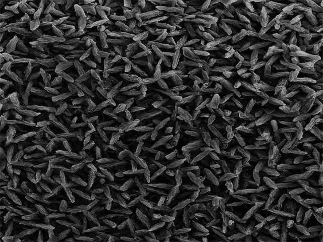 zinc phosphate coating SEM image at x500