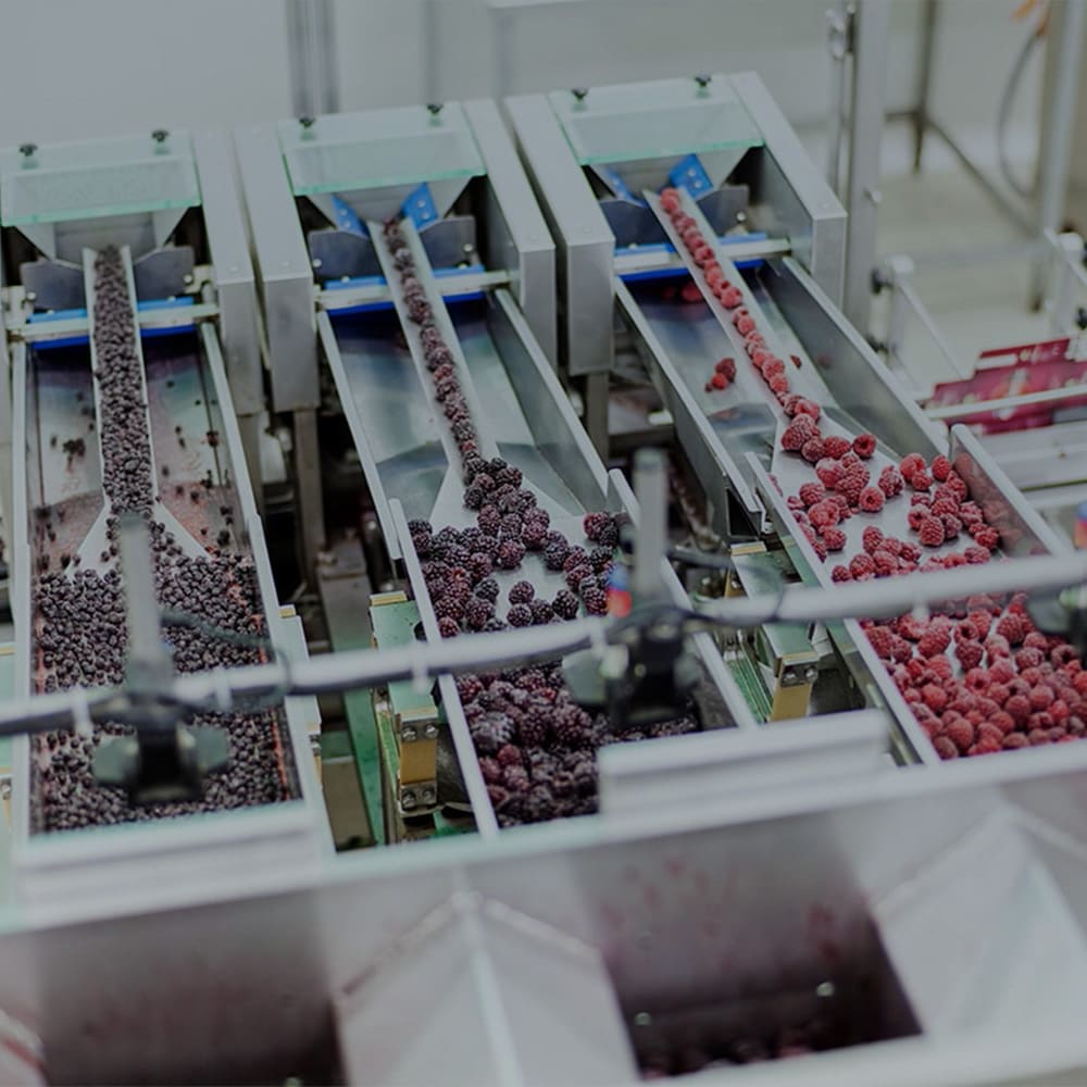 food processing line for frozen produce sorting and packaging
